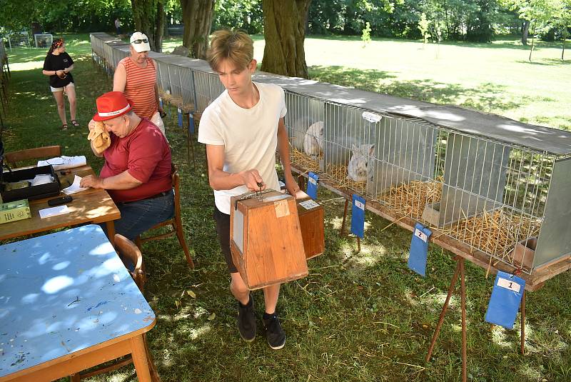 Zámecký park ve Slezských Rudolticích bude 31. července i 1. srpna dějištěm velké chovatelské výstavy.