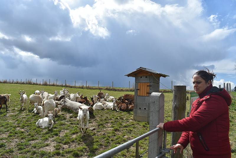 Kozí farma Úvalno je známá pod názvem Šťastné kozy. Chová je totiž rodina Kristýny Šťastné. Každý se může přesvědčit, že zvířata na farmě jsou opravdu šťastná.