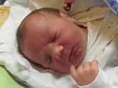 Jmenuji se DOMINIK HAVLÍK, narodil jsem se 2. Ledna 2019, při narození jsem vážil 3030 gramů a měřil 47 centimetrů. Rýmařov