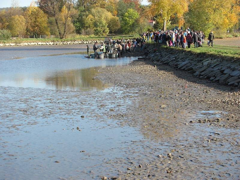 Výlov krnovského rybníka Výtažník byl pro veřejnost dobrý tip, jak naložit s volným dnem na státní svátek 28. října. Jeho břehy se zaplnily stovkami návštěvníků.