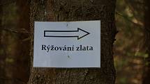 Lesní slavnosti Lapků z Drakova lákají do Jeseníků rodiny z celé republiky i zahraniční návštěvníky. Čtrnáctý ročník se koná 21. a 22. července v Biskupských lesích u Vrbna pod Pradědem. Na fotografii Lesní slavnosti Lapků z Drakova v roce 2017.