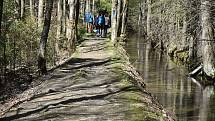 Udělejte si někdy výlet kolem náhonu, který přivádí vodu pro umělý vodopád v Karlově Studánce.