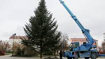 Vánoční strom města Krnova pro rok 2022 je patnáctimetrová jedle, která vyrostla v lese mezi Úvalnem a Lichnovem. Slavnostní rozsvícení proběhne v neděli 27. listopadu 2022 v 16 hodin.
