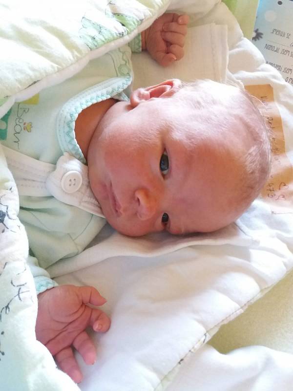 Jmenuji se ANTONÍN VILIAM KUBÍK, narodil jsem se 24. Července 2019, při narození jsem vážil 3900 gramů a měřil 52 centimetrů. Velké Heraltice.