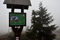 Chráněná krajinná oblast Jeseníky - Ilustrační foto.