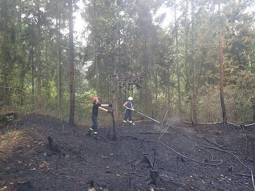 Ke čtyřem požárům lesa, polí, jednou od hořícího traktoru, a dvou stromů po úderu blesku museli vyjíždět v úterý odpoledne během necelých dvou hodin jednotky profesionálních a dobrovolných hasičů. Pomáhali i hasiči z Polska. (foto ze Slezských Rudoltic)