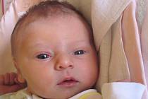 Jmenuji se ANDREA DŘIMALOVÁ, narodila jsem se 27. února, při narození jsem vážila 3185 gramů a měřila 48 centimetrů. Moje maminka Lucie Demelová a můj tatínek se jmenuje Martin Dřimal. Bydlíme v Bílčicích.