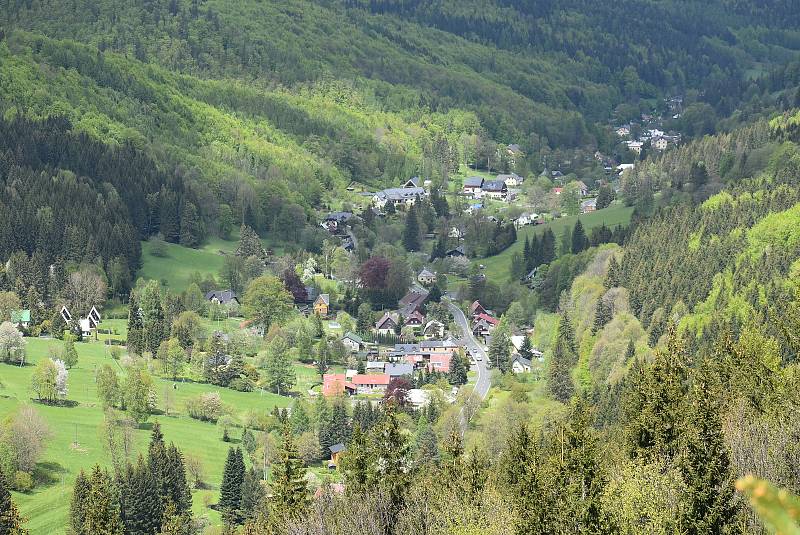 Ludvíkov žije turistickým ruchem. Milovníky Jeseníků sem lákají vyhlídky, skály, lesy a také nabídka různých typů penzionů, hotelů a restaurací.