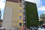Bruntál se stal jedním z mála měst v České republice, kde jsou zelené fasády instalovány a zkoumány. Vertikální zahrady  v létě přináší ochlazení, v zimě zateplují, snižují hlučnost a prašnost, zadržují vodu a jsou ekologické i estetické. Září 2023