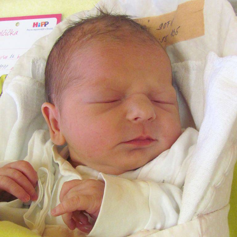 Jmenuji se SOFIE BAYEROVÁ, narodila jsem se 22. února, při narození jsem vážila 3090 gramů a měřila 49 centimetrů. Moje maminka se jmenuje Kristýna Grulichová a můj tatínek se jmenuje Pavel Bayer. Bydlíme v Bruntále.
