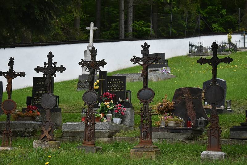 Ludvíkov žije turistickým ruchem. Milovníky Jeseníků sem lákají vyhlídky, skály, lesy a také nabídka různých typů penzionů, hotelů a restaurací.