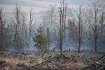Lesní požár vypukl v překrásné přírodě Nízkého Jeseníku. Hasiči zasahovali přímo na svahu nejvyšší hory Slunečná (800 m n.m.) 23. dubna 2022.