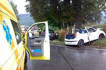 Tři posádky záchranné služby a další sanitka privátní dopravní služby musely v pátek odpoledne zasahovat u dopravní nehody, která se stala u obce Vysoká na Bruntálsku.