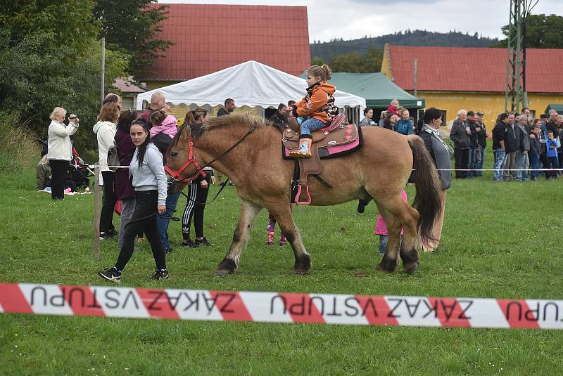 Svod tažných koní ve Městě Albrechticích. 17.9. 2022