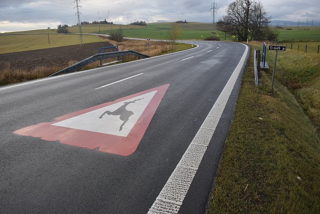 Úsek silnice mezi Bruntálem a Miloticemi, kde 20. listopadu 2023 došlo k tragické srážce mezi VW Passat a protijedoucí sanitkou.