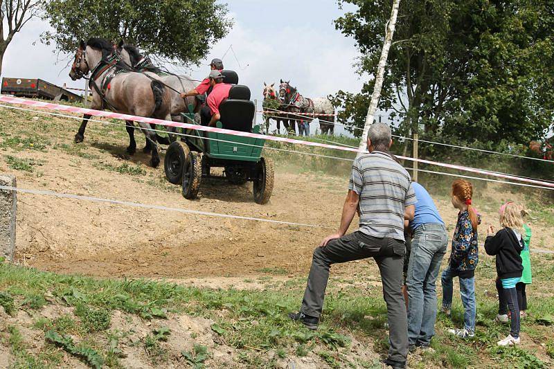 Historicky první vozatajské závody se jako kvalifikace na mistrovství republiky proběhly v sobotu 25. srpna na Ekofarmě Lomnice manželů Vladimíra a Zuzany Juráňových. Bylo co obdivovat – statné koně, i nejšikovnější vozky Česka.
