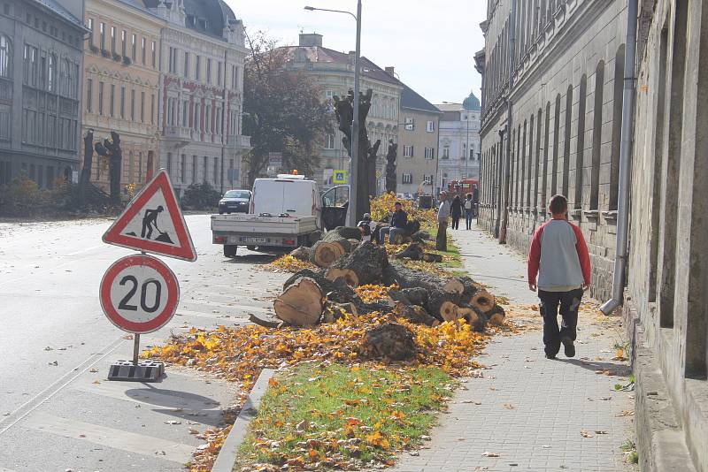 Zeleň v Soukenické ulici v Krnově právě prochází radikální změnou.