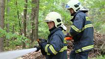 V plné výstroji, za třicetistupňových teplot hasit plameny polykající lesní porost v nepřístupném terénu Jeseníků není ani pro zkušené hasiče žádná slast.