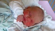 Jmenuji se ANETA KRAUSOVÁ narodila jsem se 5. března, při narození jsem vážila 4040 gramů a měřila 50 centimetrů. Moje maminka se jmenuje Zdeňka Fišerová a tatínek se jmenuje Jaromír Kraus. Bydlíme v Krnově.