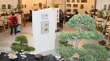 Letos poprvé se konala výstava skalničkářů v aule obchodní akademie v Bruntále, kde je umístěna rovněž stálá expozice nejvýznamnějšího bruntálského malíře Karla Adámka.