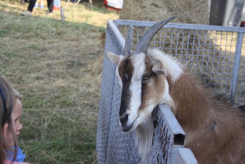 Cirkus Šimek v Krnově i v Bruntálu pozval publikum také do svého zvěřince. Každý se mohl přesvědčit, jak je o cirkusová zvířata postaráno mimo manéž, jaké mají klece, ustájení a výběhy.