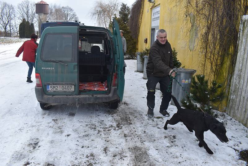 Tomáš Scholz s podporou rodiny a přátel provozuje ve Slezských Pavlovicích psí útulek a psí hotel.