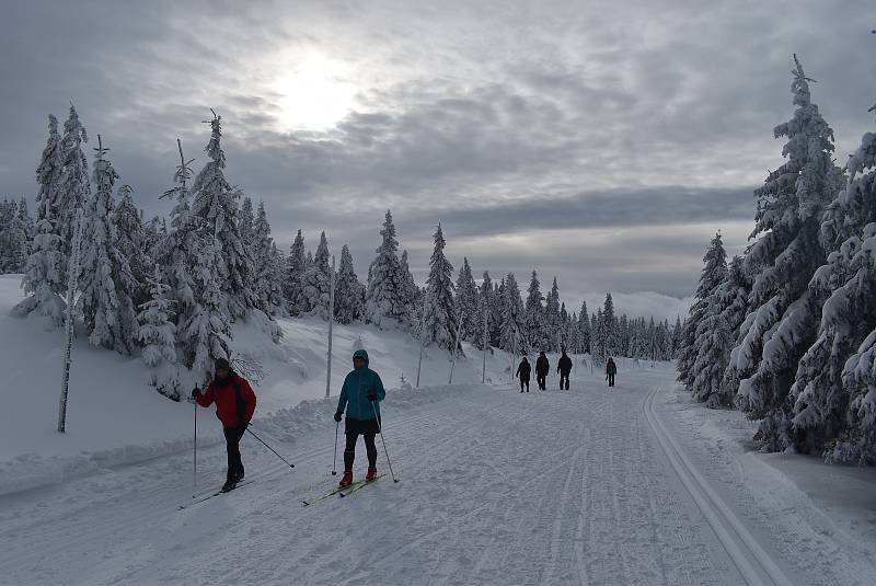 Navzdory předpovědi silného větru vyrazili turisté, běžkaři, pejskaři i rodiny s dětmi na Praděd. 4. 12. 2021