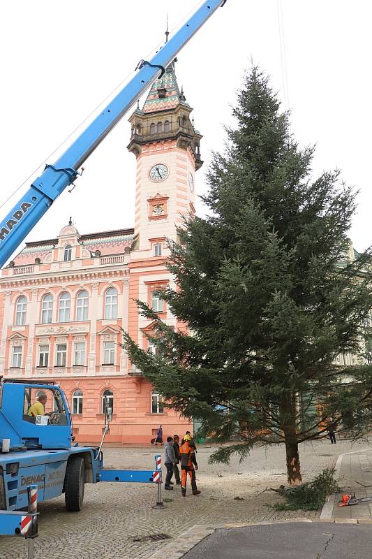 Vánoční strom města Krnova pro rok 2022 je patnáctimetrová jedle, která vyrostla v lese mezi Úvalnem a Lichnovem. Slavnostní rozsvícení proběhne v neděli 27. listopadu 2022 v 16 hodin.