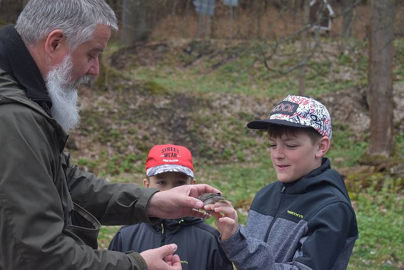 Vítání ptačího zpěvu v Karlově Studánce zahrnuje odchyt, kroužkování a odborný výklad Petra Šaje. Karlova Studánka, 7. května 2022.