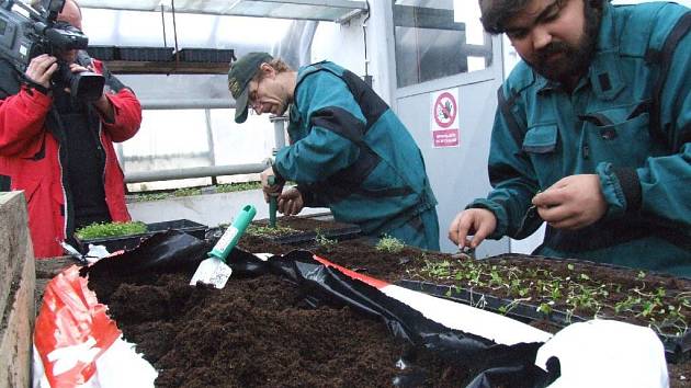 Slezská diakonie a její střediska Benjamín a Chrpa poprvé veřejnosti představili nové projekty.