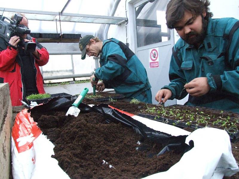 Slezská diakonie a její střediska Benjamín a Chrpa poprvé veřejnosti představili nové projekty.