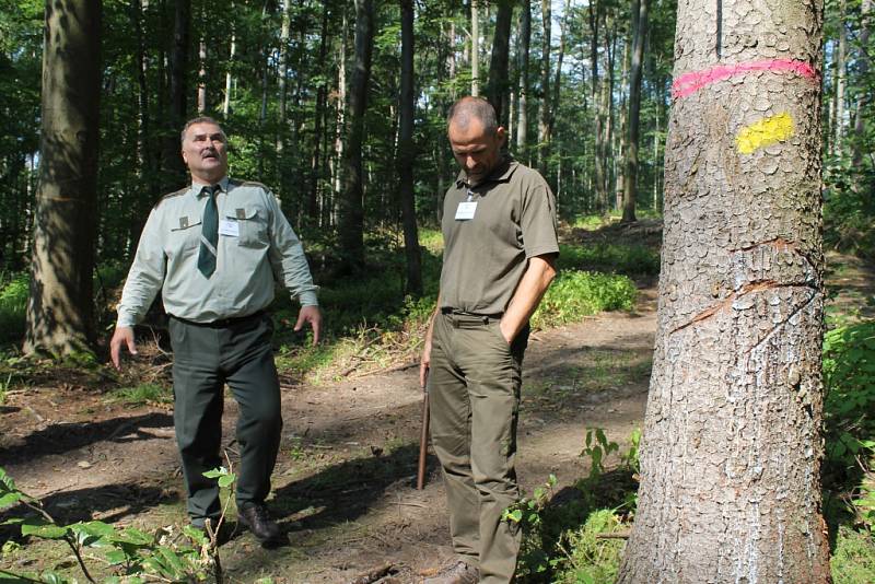 Lesy na Bruntálsku jsou v rámci celé republiky v roce 2016 nejvíce postiženy suchem a napadá je kůrovec, hrozí napadení houbou václavkou. 