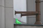 Zelený holub na krnovském divadle je nejnovějším streetartovým žertíkem neznámého umělce, který už svými barevnými holuby vylepšil knihovnu, Bauerův památník i zeď u Komerční banky.