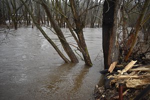 Déšť a obleva v Jeseníkách rozvodnily řeku Moravici. 11.2.2024