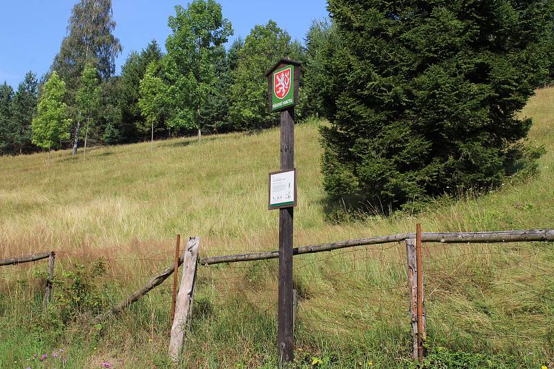 Folklorní kosení 27. července v osadě Chebzí na Jesenicku.