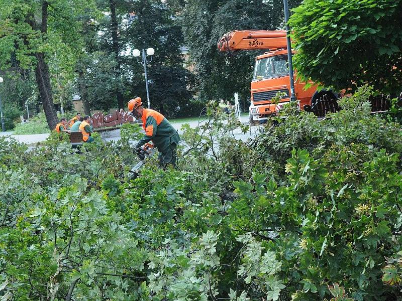 Hlučný lomoz motorových pil v uplynulých dnech několikrát zazníval v Husově sadu v centru Ostravy. K zemi se zde poroučely tři vzrostlé stromy.