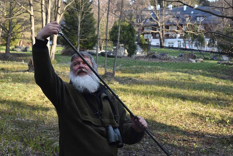 Vítání ptačího zpěvu v Karlově Studánce se zoologem Petrem Šajem.