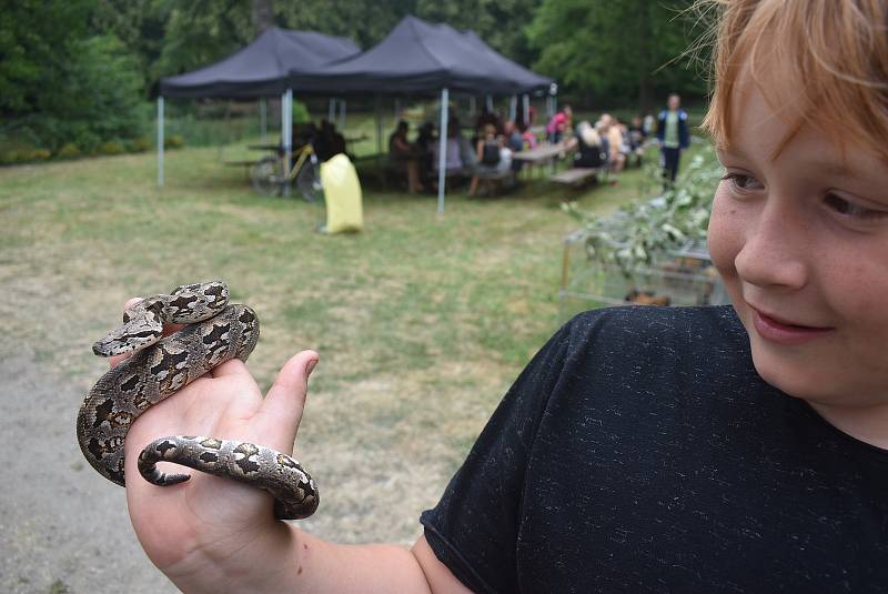 Zámecký park posloužil Základní organizaci Českého svazu chovatelů Slezské Rudoltice k uspořádání výstavy.