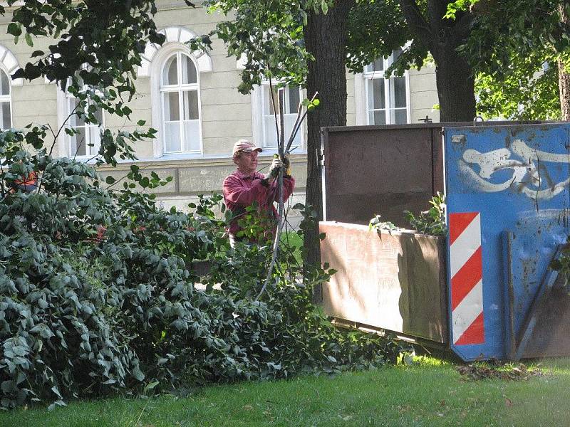 Kácení duté lípy v krnovském parku Bedřicha Smetany.