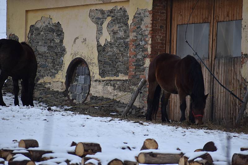 Krasov, malá podhorská obec na Krnovsku, leden 2021.