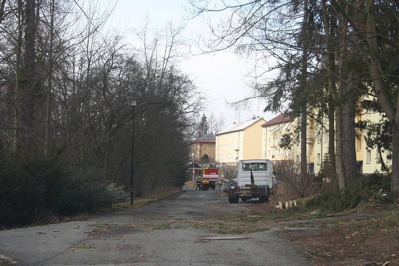 Vítr shazoval elektrické vedení a vyvracel stromy také v Bruntálu. Nejhůř byly zasažený Městský park. Největší lípa se vyvrátila přes plot na hospodu Roští.