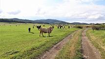 Jindřichov je krásné místo k životu ve všech ročních obdobích.