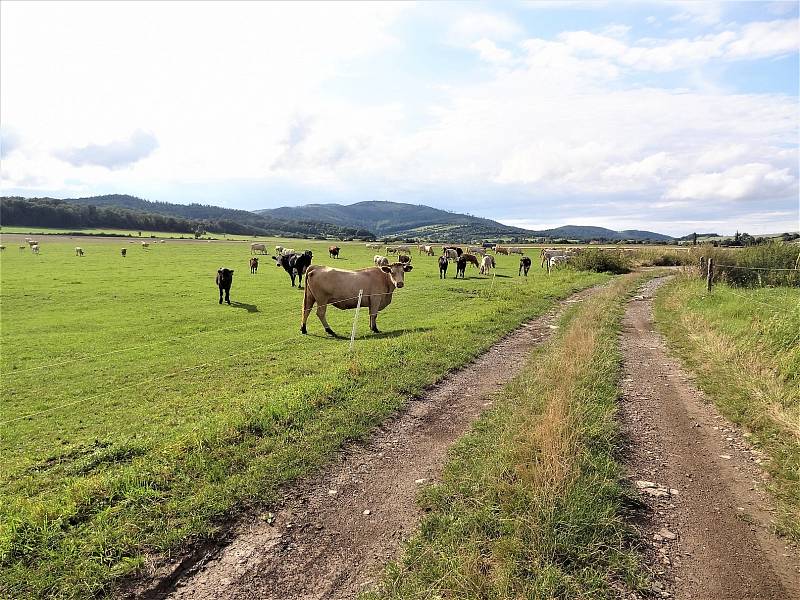 Jindřichov je krásné místo k životu ve všech ročních obdobích.