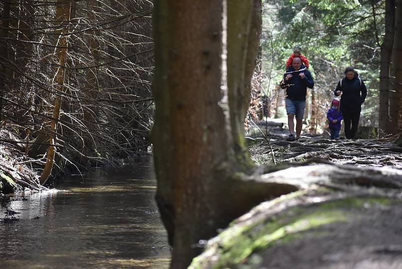 Udělejte si někdy výlet kolem náhonu, který přivádí vodu pro umělý vodopád v Karlově Studánce.