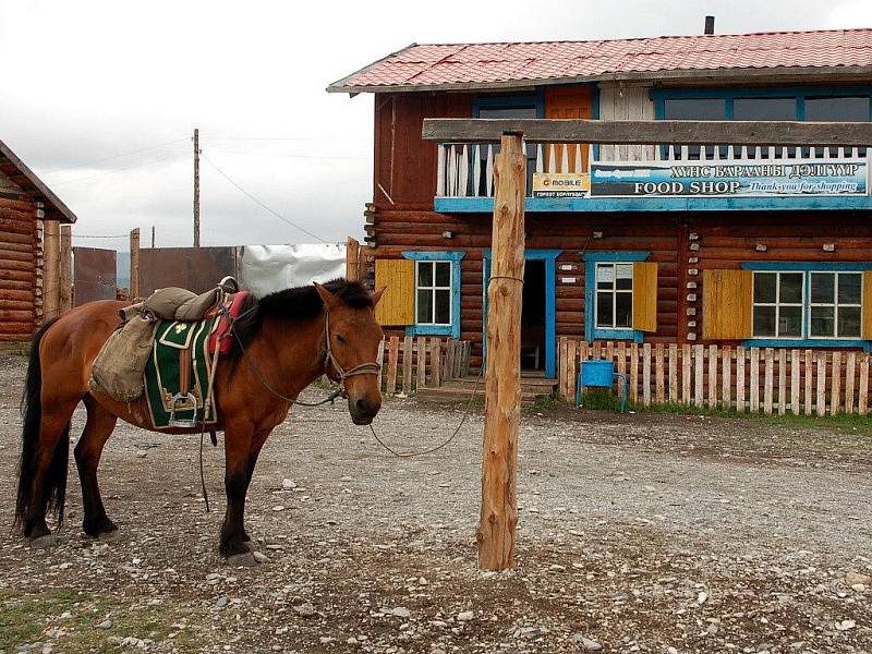 Mongolské dopravní prostředky byly různé. Od letadel, přes všehoschopný UAZ až ke koňskému hřbetu. Na žádném z nich se však cestovatelé rozhodně nenudili.