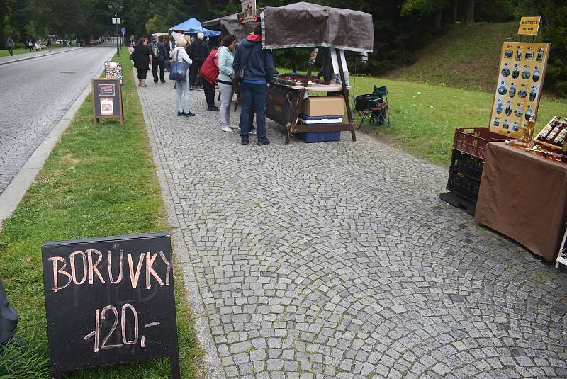 V Jeseníkách si můžete koupit čerstvé borůvky nebo si zajít do restaurace na Borůvkové hody.