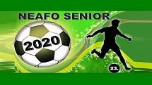 Neafo senior