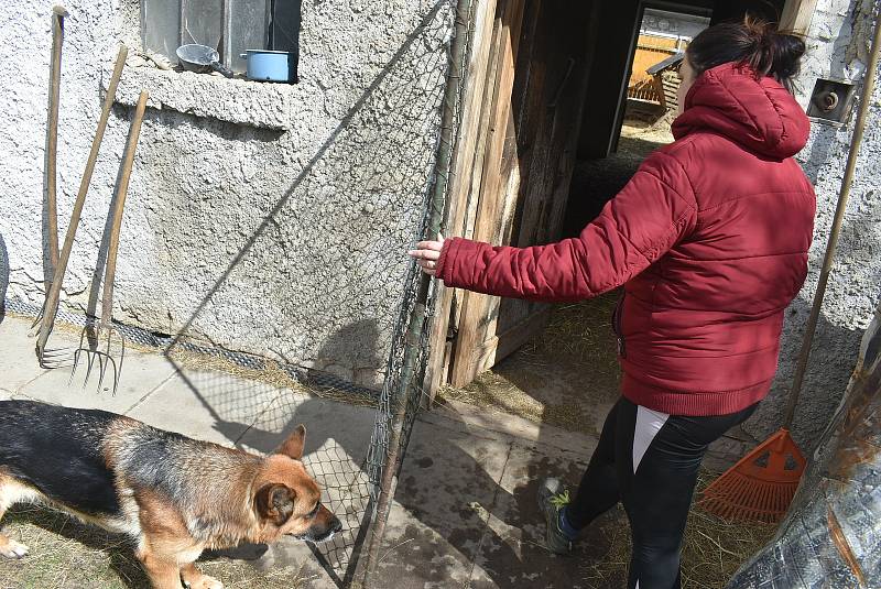 Kozí farma Úvalno je známá pod názvem Šťastné kozy. Chová je totiž rodina Kristýny Šťastné. Každý se může přesvědčit, že zvířata na farmě jsou opravdu šťastná.