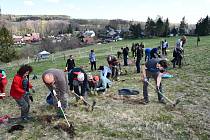 Zaměstnanci a přátelé krnovské nemocnice vysadili na čtyři tisíce stromků v Brumovicích-Pochni, 23. dubna 2022.