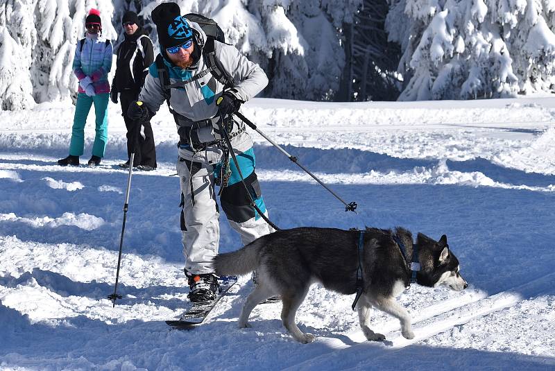 Zimní výstup na Praděd občas připomíná kynologickou přehlídku psích plemen.